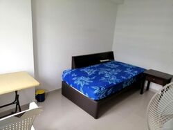 Blk 426D Floral Spring @ Yishun (Yishun), HDB 5 Rooms #549295011